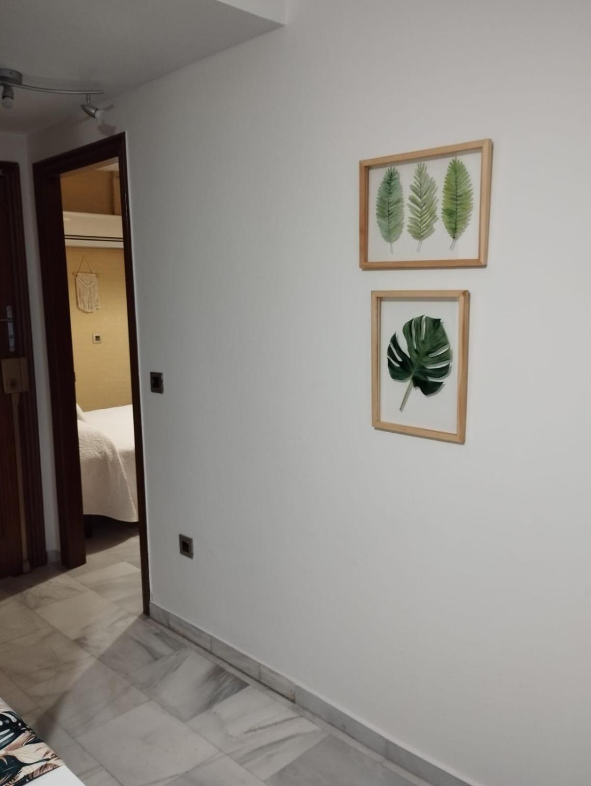 Patios Con Encanto Kordoba Zewnętrze zdjęcie