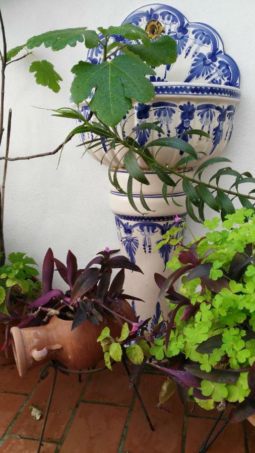 Patios Con Encanto Kordoba Zewnętrze zdjęcie