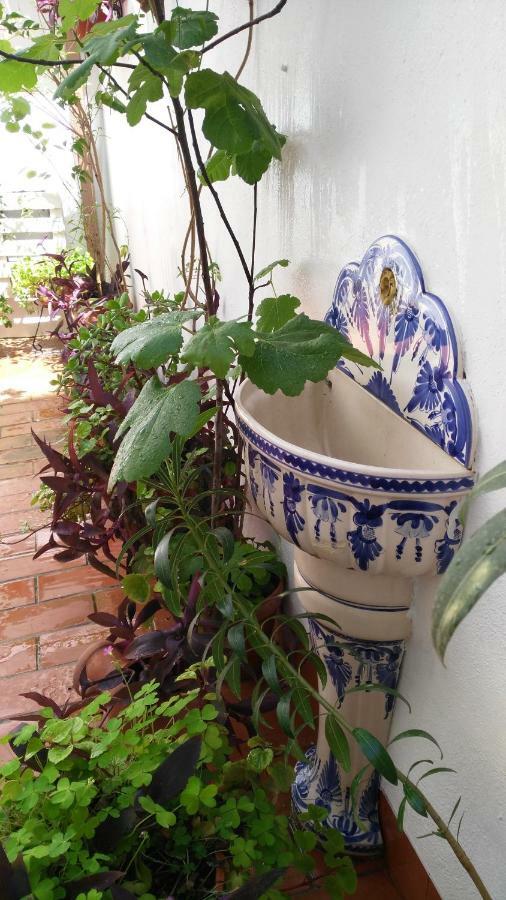 Patios Con Encanto Kordoba Zewnętrze zdjęcie